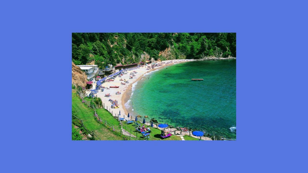 Lusso Accessibile E Servizi Lerici Εξωτερικό φωτογραφία